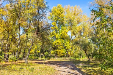 Ekim 'de sonbahar doğası, Dnipro şehri, Zafer seti, Ukrayna