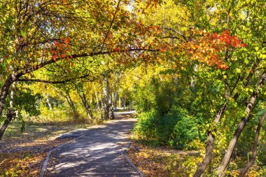 Ekim 'de sonbahar doğası, Dnipro şehri, Zafer seti, Ukrayna