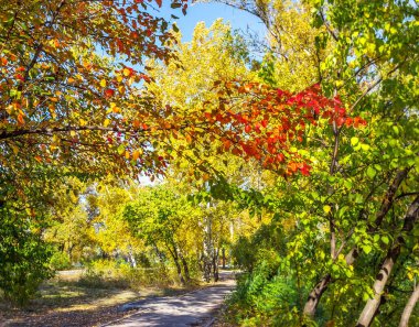 Ekim 'de sonbahar doğası, Dnipro şehri, Zafer seti, Ukrayna