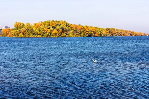 Natureza Outono Outubro Cidade Dnipro Aterro Vitória Ucrânia — Fotografia de Stock