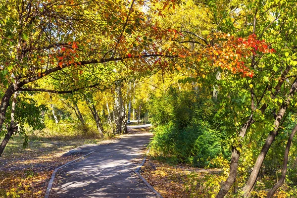 Ekim 'de sonbahar doğası, Dnipro şehri, Zafer seti, Ukrayna