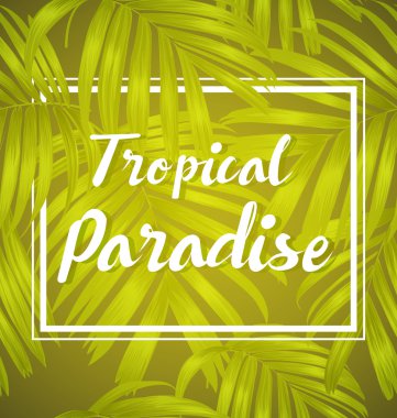 palmiye yaprağı deseni