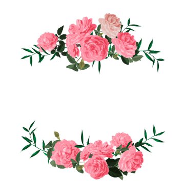 Çelenk-defne - sınırları