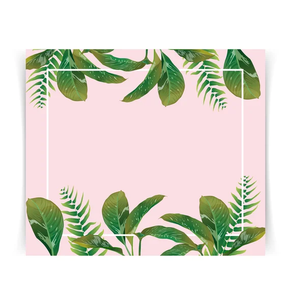 Folha tropical card2 — Vetor de Stock