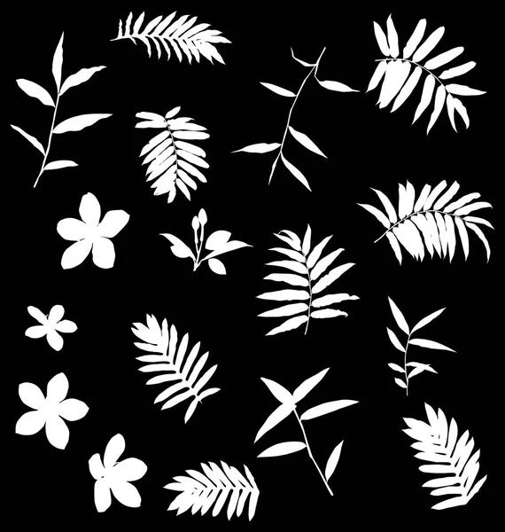 熱帯の葉の集合 — ストックベクタ