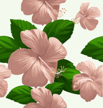 hibicus çiçek desen 4