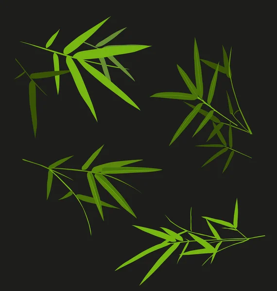 Set di foglie di bambù — Vettoriale Stock
