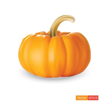 Beyaz arka plan üzerinde izole balkabağı. Kabak vektör çizim