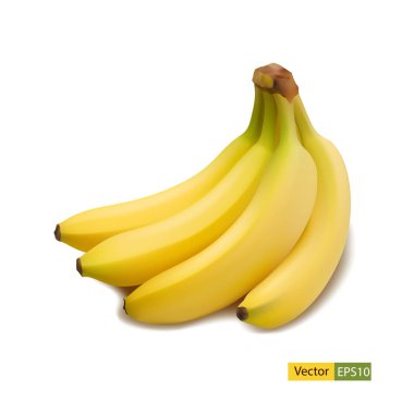 Muz meyve kapatın. Bir grup beyaz zemin üzerine muz izole. Muz nitel vektör çizim