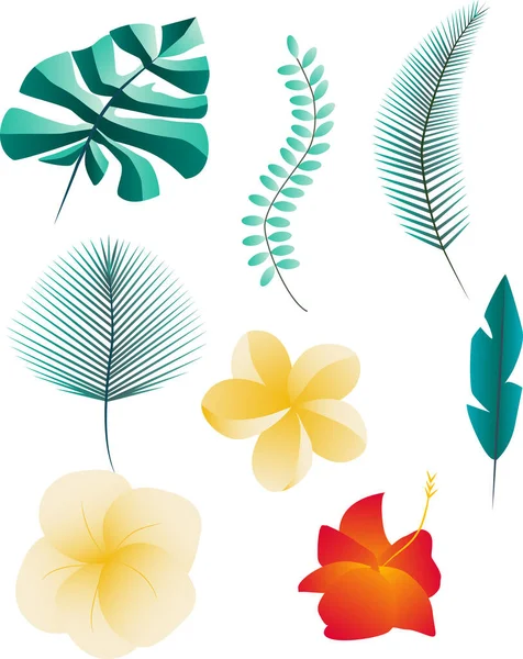 Set Tropischer Blätter Und Blüten Isoliert Auf Weißem Hintergrund — Stockfoto