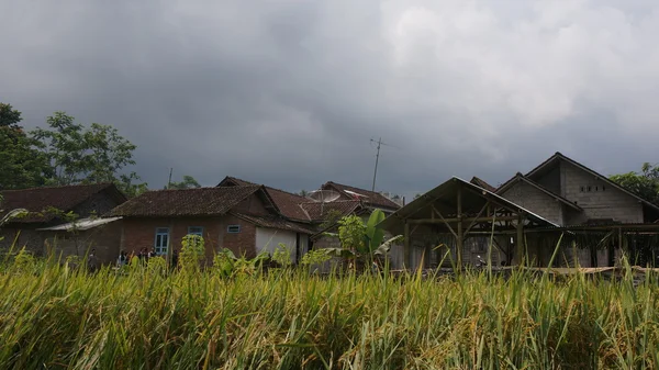 Keron Village sawangan Java Central —  Fotos de Stock