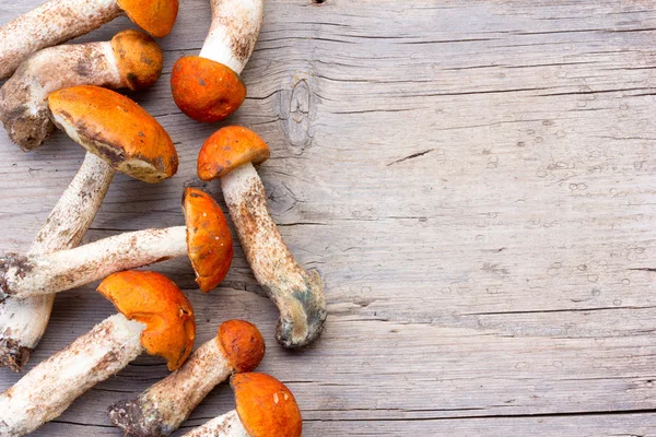 Friske spiselige vilde svampe orange-cap Boletus (Leccinum aurantiacum) På den gamle grå træbaggrund. Lukning af øverste visning - Stock-foto