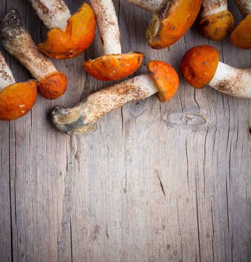 gri bir ahşap zemin üzerine kavak mantar