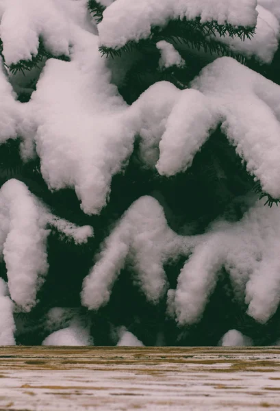 Mesa de madera vacía sobre un fondo de árboles cubiertos de nieve, foto teñida —  Fotos de Stock