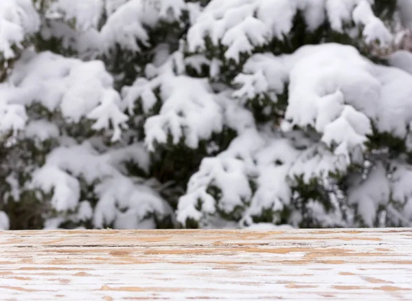 Tom träbord på en bakgrund av snötäckta träd. för produkt Visa montage — Stockfoto