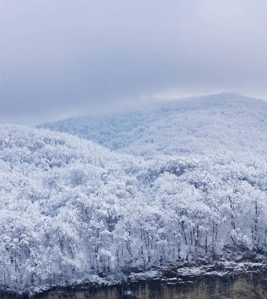 Paysage hivernal. colline boisée couverte de neige, faible profondeur de champ — Photo