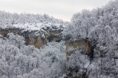 ormanlık tepelerde kar manzara. sığ derinlik-in tarla