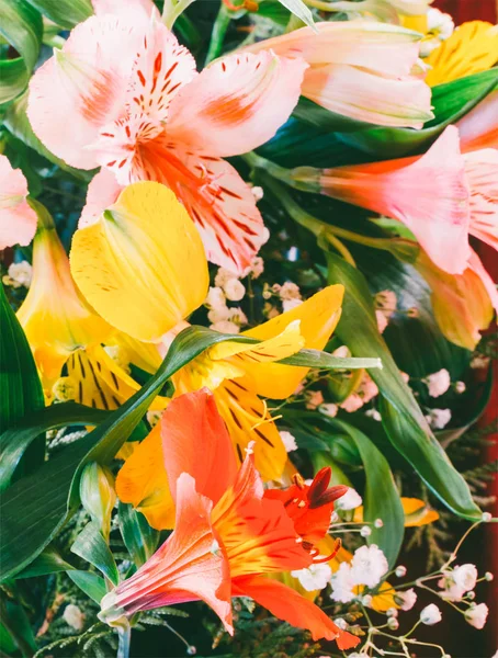 Fundo floral de um buquê de flores coloridas lírios closeup. foco seletivo, foto matizada — Fotografia de Stock