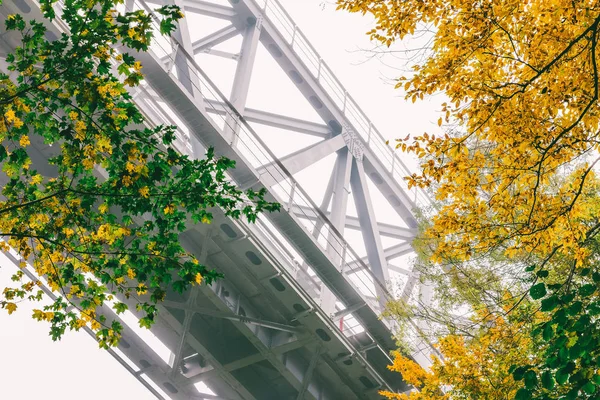 Metall järnvägsbron mitt i en skog i en dimmig höstdag, tonade foto — Stockfoto