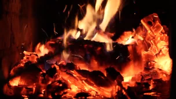 People stir a fire iron burning coals in a furnace closeup, shallow depth of field — Stock Video
