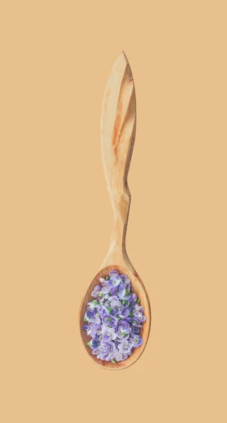 Délicats pétales de fleurs bleues dans une cuillère en bois gros plan isolé sur la couleur de la peau de fond, vue de dessus — Photo