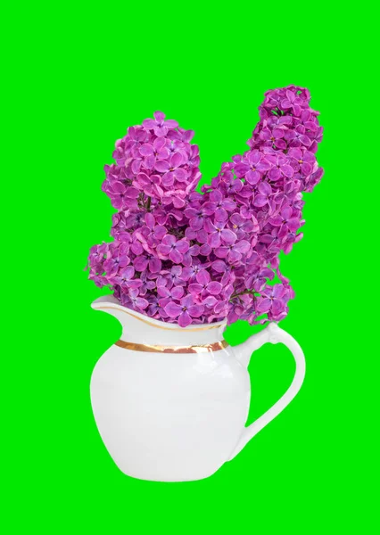 Bukiet kwiatów bzu w białym dzbanku na białym tle na zielonym tle — Zdjęcie stockowe