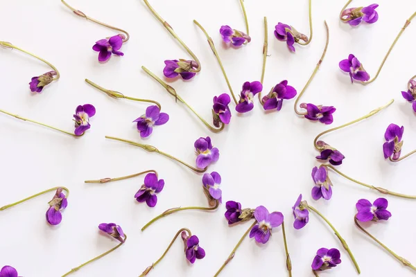 Frame gemaakt van klein bos bloemen violet op witte achtergrond. Plat lag, top uitzicht — Stockfoto