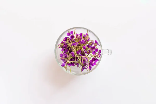 Pequenas flores florestais fragrantes de violetas em uma xícara de vidro em um fundo branco. Colocação plana, vista superior, estilo mínimo — Fotografia de Stock