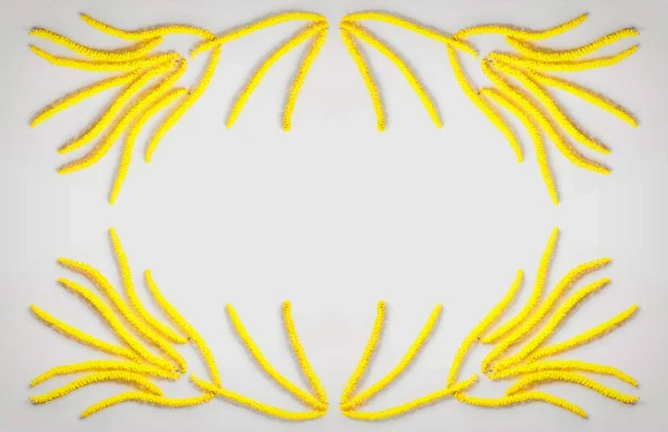 Marco abstracto de composición floral con flores doradas pendientes avellana sobre fondo gris con espacio para el texto. Piso tendido, vista superior —  Fotos de Stock