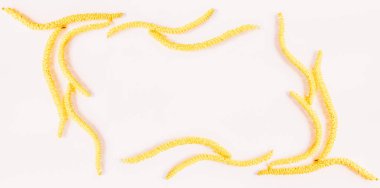 Hazel metin için yer beyaz zemin üzerine sarı tasarlamak çerçeve çiçek çiçekler. Düz yatıyordu, en iyi görünümü