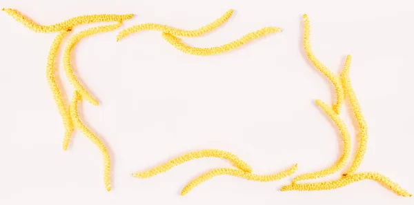 Абстрактная цветочная рамка желтые цветы орешника на белом фоне с пространством для текста. Плоский, вид сверху — стоковое фото