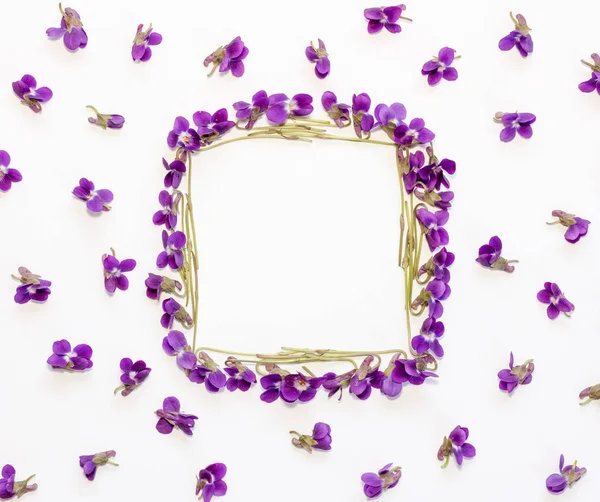 Motif floral carré Cadre fait de petites fleurs de forêt violet avec espace vide pour le texte sur un fond blanc. Couché plat, vue du dessus — Photo