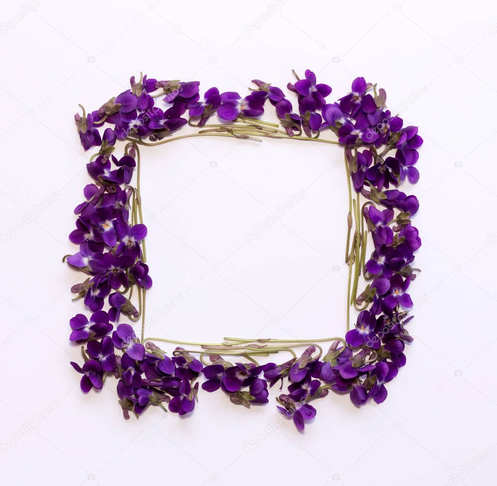 Floral pattern square Frame made of small forest flowers violet with empty space for text on a  on white background. Flat lay, top view