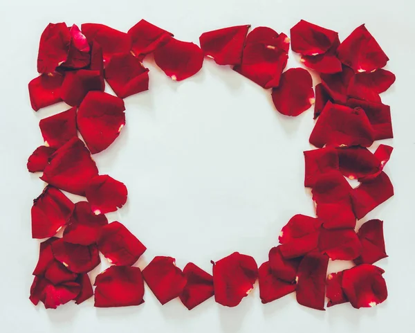 Pétalas de moldura de flor de rosas vermelhas em um fundo branco com espaço para texto — Fotografia de Stock