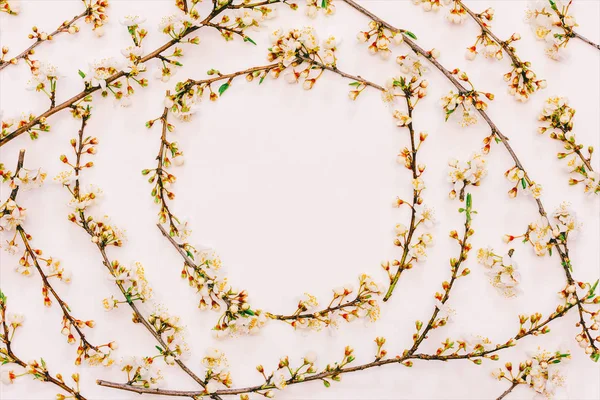 Les branches florissantes d'un arbre fruitier avec des fleurs blanches sur un fond rose avec de l'espace pour la vue du dessus du texte, photo teintée — Photo