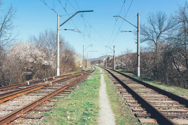 Železniční trať v přírodě na jaře — Stock fotografie