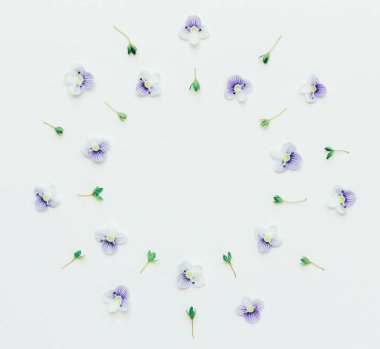 metin için yer ile beyaz bir arka plan üzerinde küçük mavi çiçeklerin yuvarlak çerçeve çiçek. Düz yatıyordu, en iyi görünümü