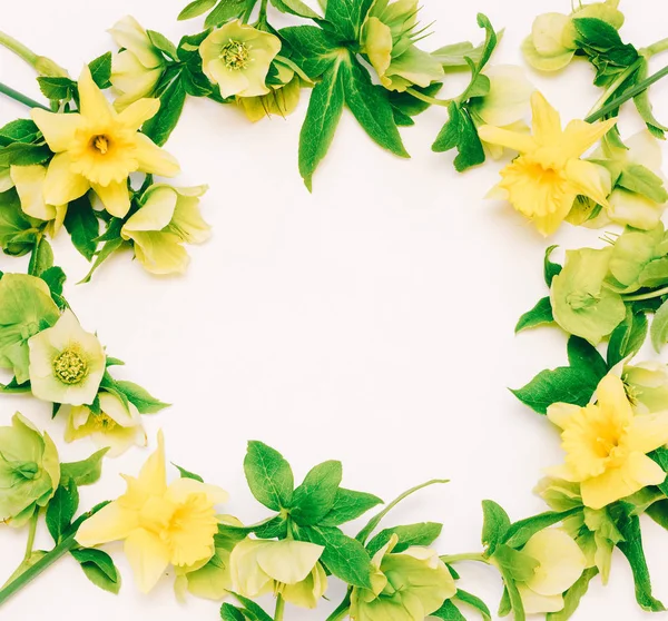 Moldura de flor com espaço para texto de flores Narciso e heléboro no fundo branco — Fotografia de Stock