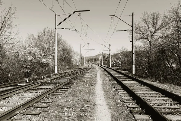 Chemin de fer dans les zones rurales au printemps. noir et blanc photo — Photo