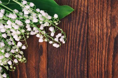 Arka plan ile orman kahverengi ahşap kurulların vadideki zambak çiçekler. Metin için yer ile renk tonu fotoğraf