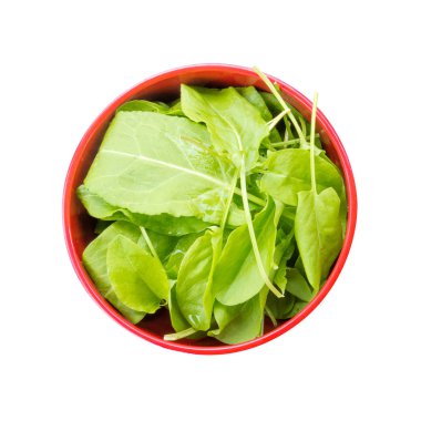 Beyaz arka plan üzerinde üstten görünüm portre izole kırmızı kase taze kuzukulağı yaprakları