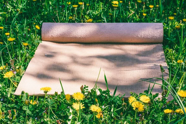 Йога килимок на зеленому лузі на весняний сонячний день, селективний фокус — стокове фото