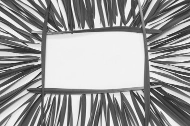 metin, en iyi görünüm için yer ile beyaz bir arka plan üzerinde dikdörtgen çerçeve çiçek bırakır. siyah beyaz fotoğraf