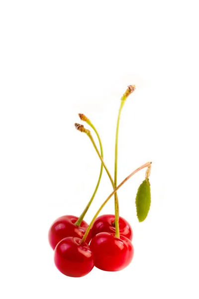 Cherry berry isolated on white background — Stock Photo, Image