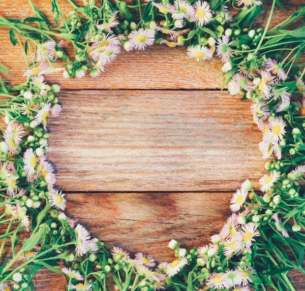 Round frame of chamomile pharmacy on wooden retro background with space for text, top view of toning photo