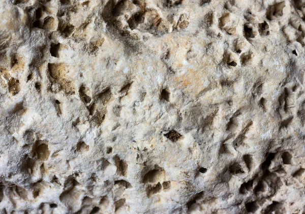 光灰色多孔質石背景テクスチャの石灰岩の石畳 — ストック写真