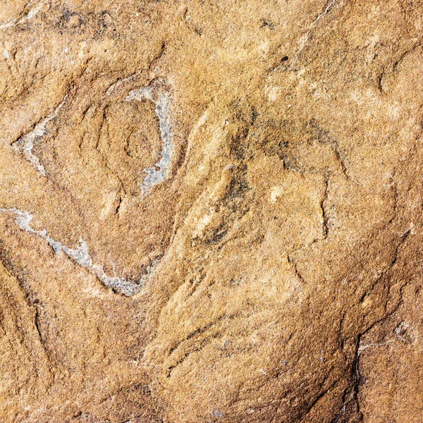 Kaldırım taşı hafif kahverengi taş zemin dokusu