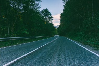 asfalt yol sabah closeup erken ormanında