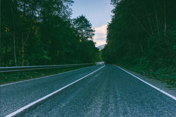 Asphalt road in the forest early in the morning closeup — Stock Photo, Image
