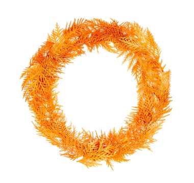 sonbahar kompozisyon. Beyaz arka plan üzerinde izole Mazı twigs zencefil sonbahar çelenk. Dalga metin, Tebrikler, ifadeler, yazı için